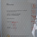 Bild vergrößern: certificate 6