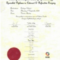 Bild vergrößern: certificate 2