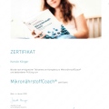 Bild vergrößern: certificate 5