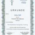 Bild vergrößern: certificate 8