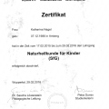 Bild vergrößern: certificate 8
