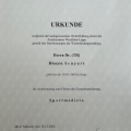 Bild vergrößern: certificate 7