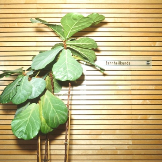 PAN-Klinik Zahnärzte    -2