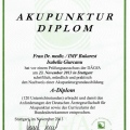 Bild vergrößern: certificate 1