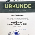 Bild vergrößern: certificate 5