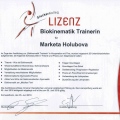 Bild vergrößern: certificate 2