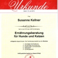 Bild vergrößern: certificate 5