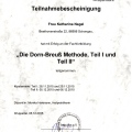 Bild vergrößern: certificate 3