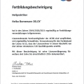 Bild vergrößern: certificate 6