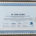 Bild vergrößern: certificate 1