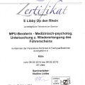 Bild vergrößern: certificate 14