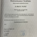 Bild vergrößern: certificate 3