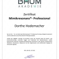 Bild vergrößern: certificate 6