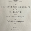 Bild vergrößern: certificate 1