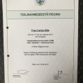 Bild vergrößern: certificate 6