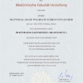 Bild vergrößern: certificate 2