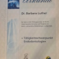 Bild vergrößern: certificate 1