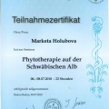 Bild vergrößern: certificate 28