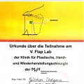 Bild vergrößern: certificate 9