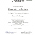 Bild vergrößern: certificate 4