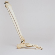 Ambulantes OP Zentrum Radolfzell am Bodensee   