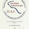 Bild vergrößern: certificate 1