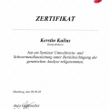 Bild vergrößern: certificate 57