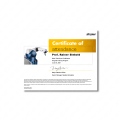 Bild vergrößern: certificate 5
