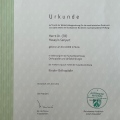 Bild vergrößern: certificate 6