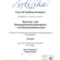 Bild vergrößern: certificate 2
