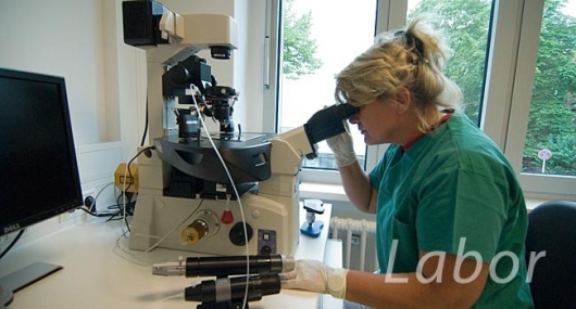 MVZ Fertility Center Berlin    -0