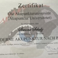 Bild vergrößern: certificate 28