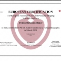 Bild vergrößern: certificate 1