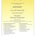 Bild vergrößern: certificate 3