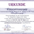 Bild vergrößern: certificate 1