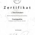 Bild vergrößern: certificate 33
