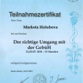 Bild vergrößern: certificate 61