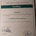 Bild vergrößern: certificate 3