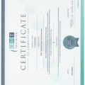 Bild vergrößern: certificate 15