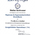 Bild vergrößern: certificate 7
