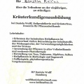 Bild vergrößern: certificate 27