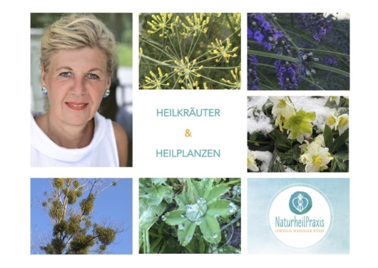 NaturheilPraxis Cornelia Weninger-Wurm-0