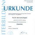 Bild vergrößern: certificate 3