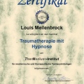 Bild vergrößern: certificate 6