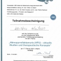 Bild vergrößern: certificate 23