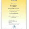 Bild vergrößern: certificate 6