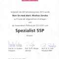 Bild vergrößern: certificate 3