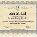 Bild vergrößern: certificate 7