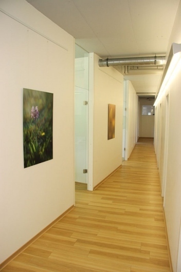 Habios Praxisklinik für Implantologie und ästhetische Zahnmedizin GmbH & Co. KG-2