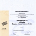 Bild vergrößern: certificate 11